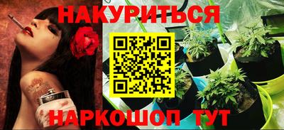 дмт Кингисепп