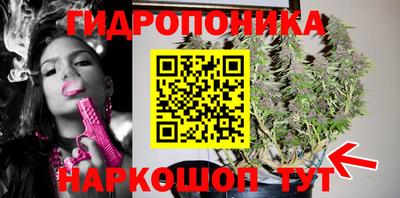 2c-b Будённовск