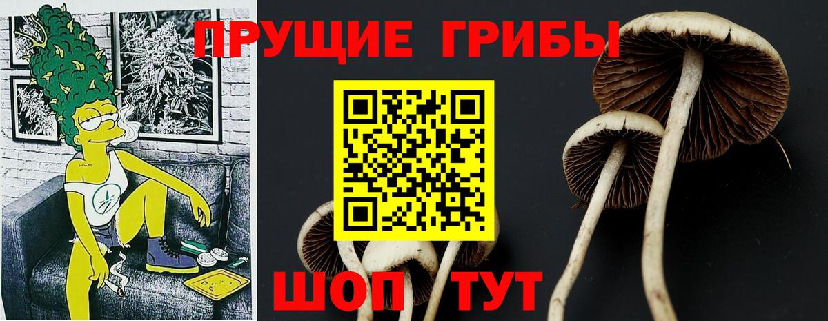 Георгиевск  Галлюциногенные грибы MAGIC MUSHROOMS  Вход с VPN  Псилоцибиновые грибы Psilocybe 