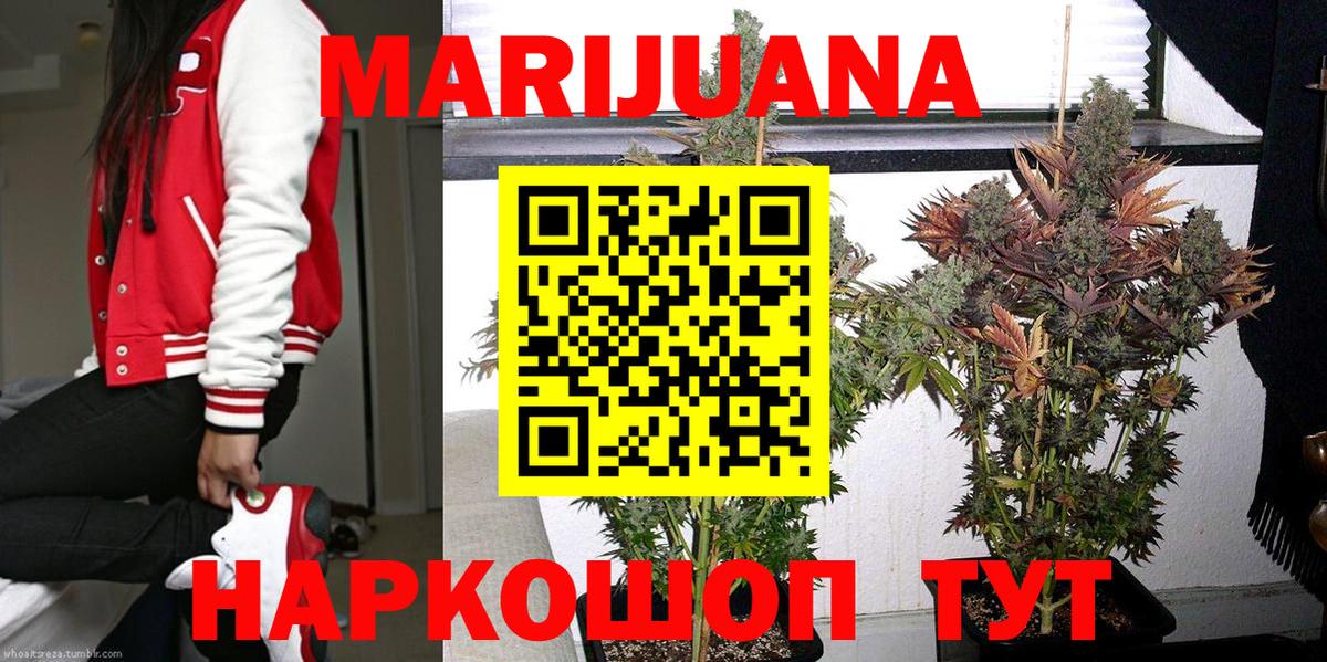 Георгиевск  Каннабис конопля  Бошки марихуана AK-47  Вход с VPN 